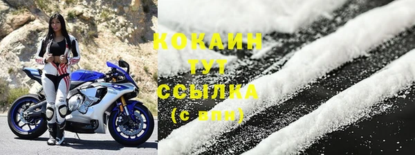 крисы Осташков