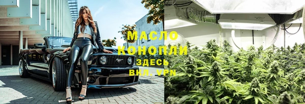 прущие грибы Тайга