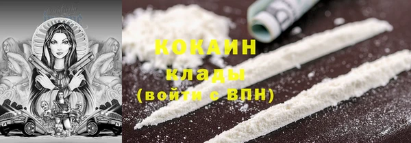крисы Осташков