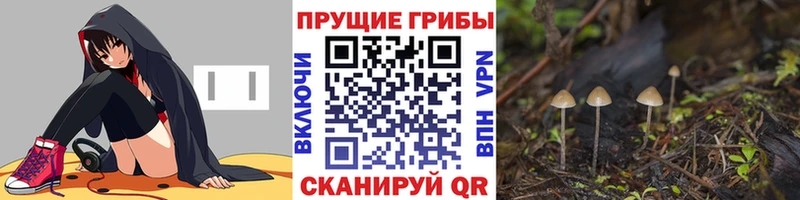 Галлюциногенные грибы мицелий Лабытнанги