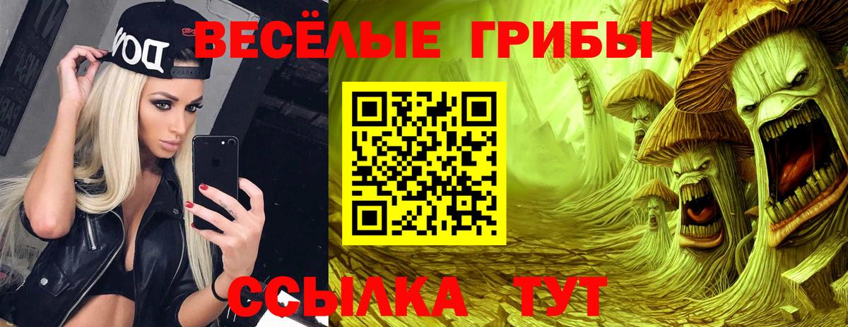 Галлюциногенные грибы прущие грибы Лабытнанги