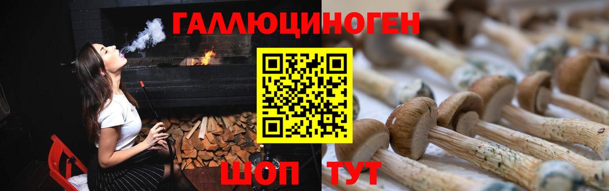 Псилоцибиновые грибы прущие грибы Лабытнанги